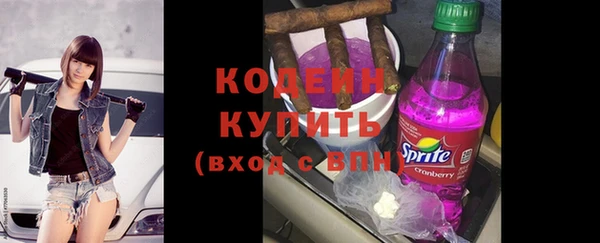 прущая мука Вяземский