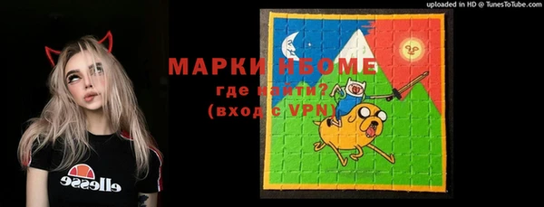прущая мука Вяземский