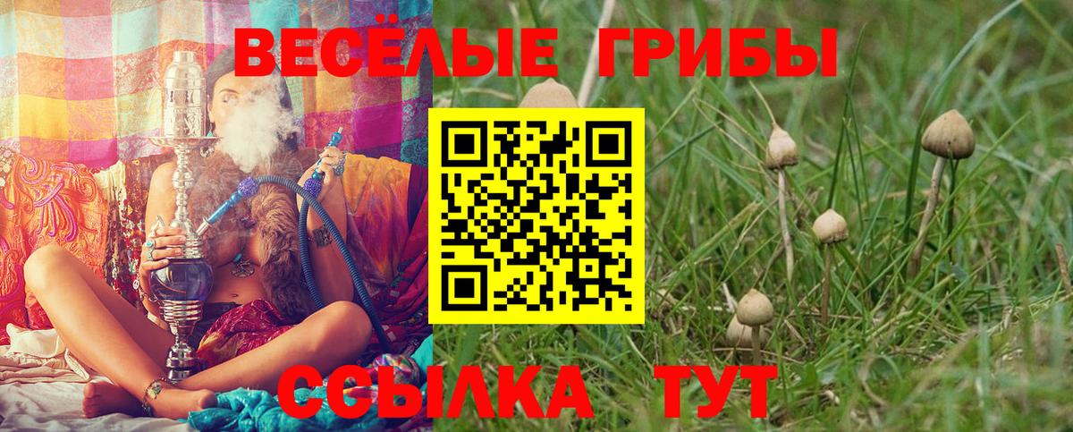 Галлюциногенные грибы прущие грибы Георгиевск