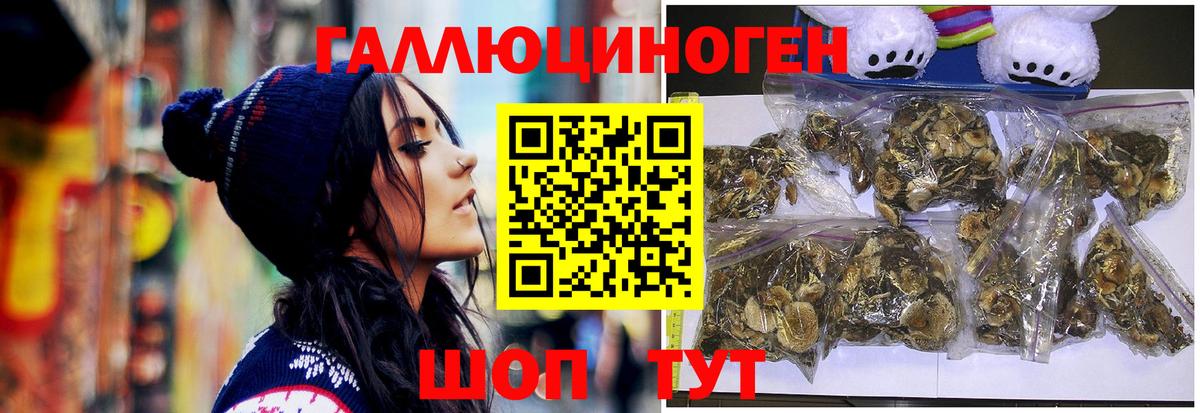 Псилоцибиновые грибы Magic Shrooms  Вход с VPN  Георгиевск 